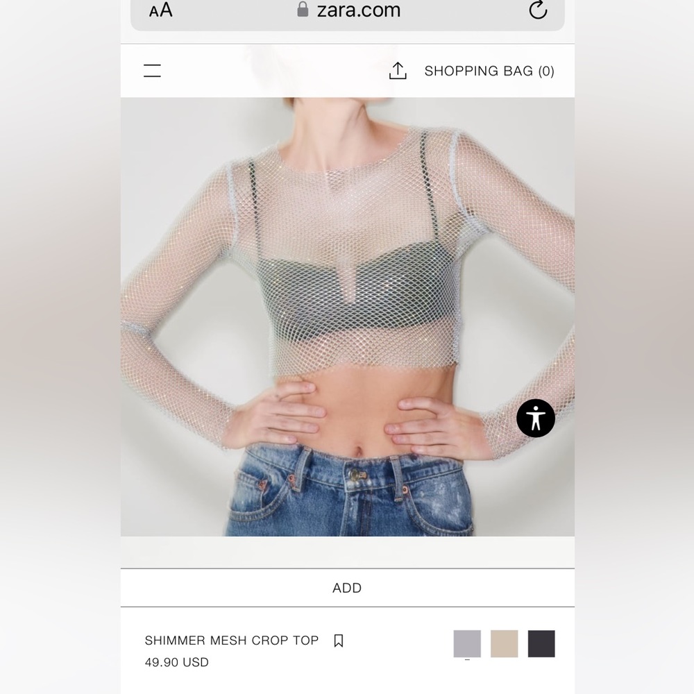 Zara Shimmer Mesh Crop Top